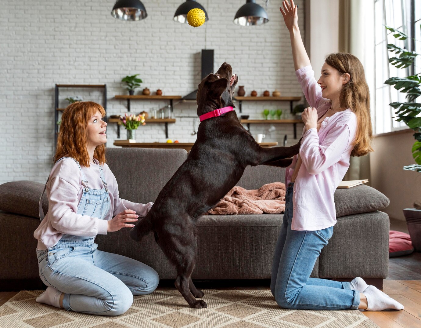 Juegos para perros en casa: dos mujeres juegan a la pelota con un perro